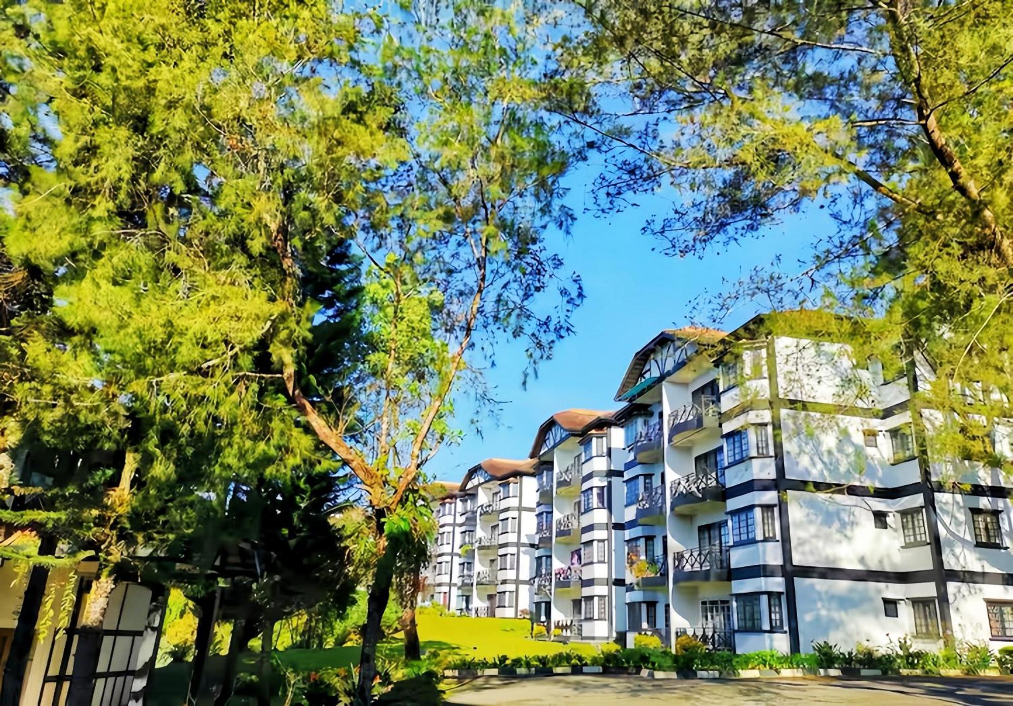 Greenhill Cameron Highland *